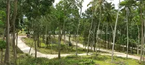Land for Sale Thannekumbura