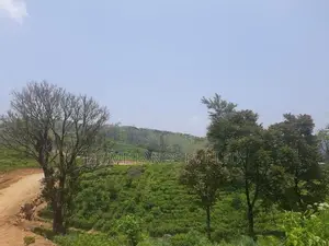 Land for Sale Ramboda