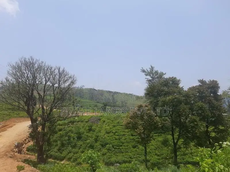 Land for Sale Ramboda