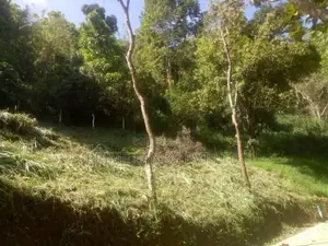 Land for Sale Ambathanna