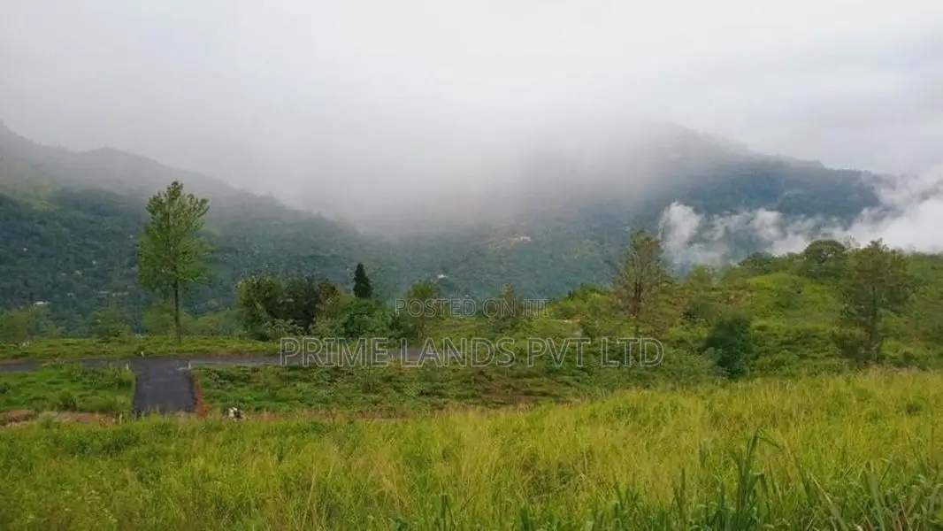 Pundaluoua Land for Sale