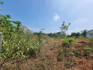 හොරණ තල්ගහවිල පාරට ඇවිද යන දුරින් වටිනා බිම් කොටසක්