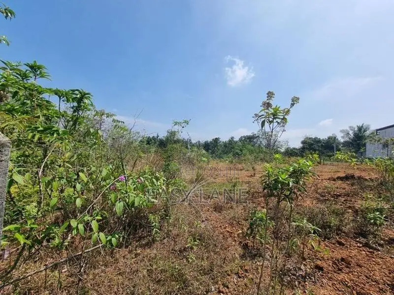 හොරණ තල්ගහවිල පාරට ඇවිද යන දුරින් වටිනා බිම් කොටසක්