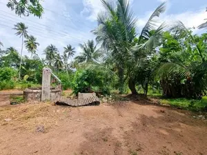 නිට්ටඹුවට ලගින්ම ඉඩම