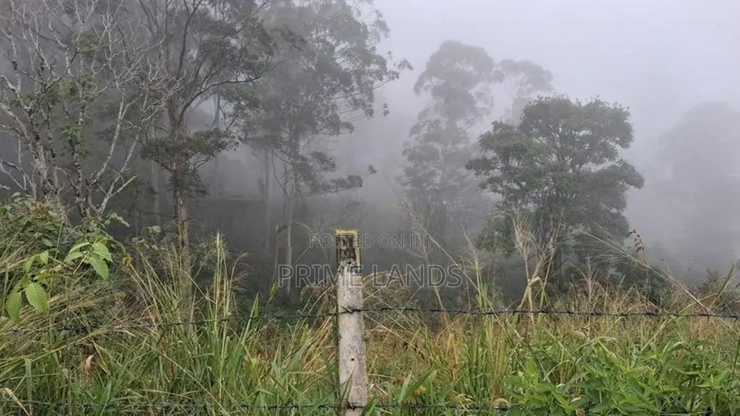 Land for Sale in Pussellawa