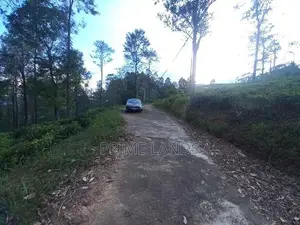 Land for Sale in Pussellawa Delta Estate