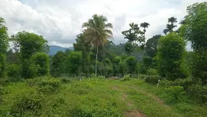 පිලිමතලාව නගරයෙන් ඉඩමක් විකිණීමට