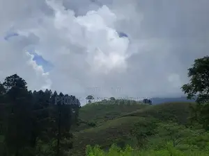 Land for Sale Ramboda