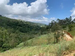 Land for Sale Delthota