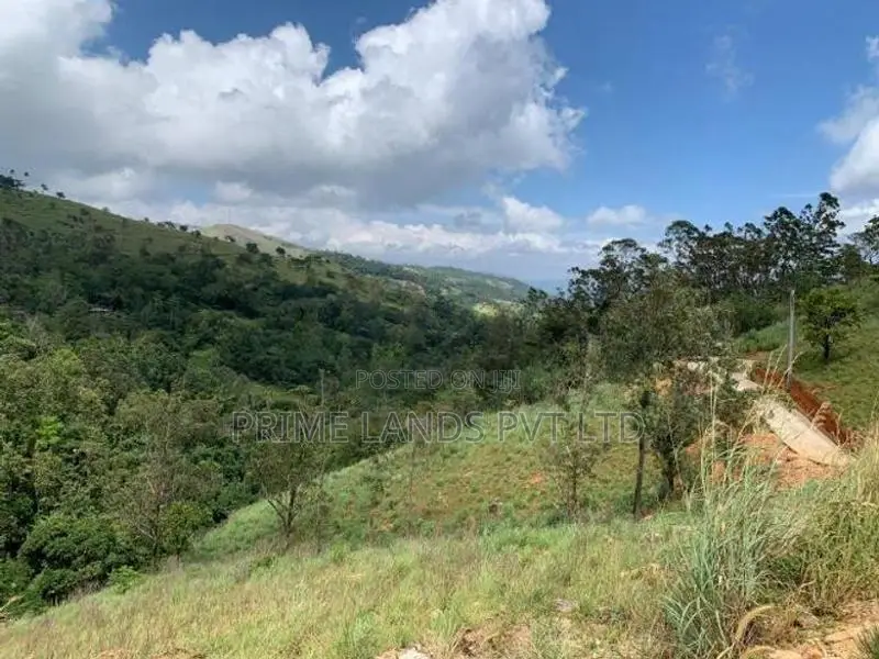 Land for Sale Delthota