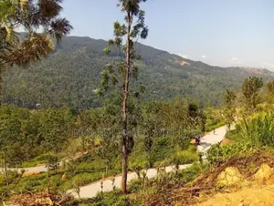 Land for Sale Nillamba
