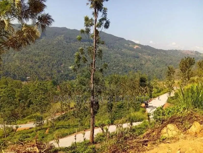 Land for Sale Nillamba