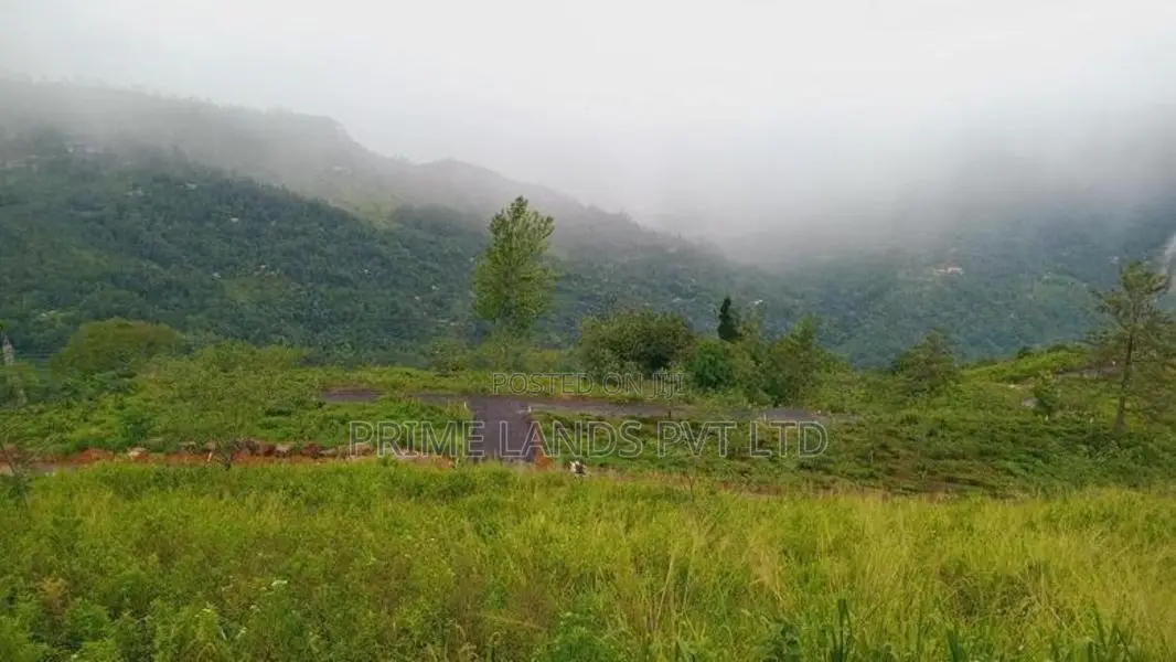 Pundaluoua Land for Sale