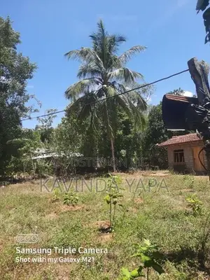 Land for Sale in සේරුපිටිය