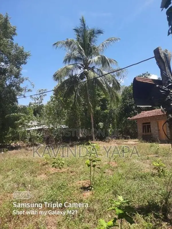 Land for Sale in සේරුපිටිය