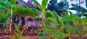 House for Sale Badulla