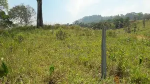Land for Sale පුස්සැල්ලාව