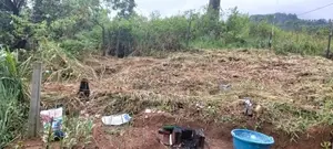 Land for Sale පුස්සැල්ලාව