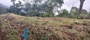 Land for Sale පුස්සැල්ලාව