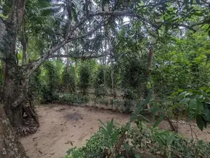 Land with House for Sale - Monaragala