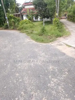 කටුනායක අවටින් වටිනා ඉඩමක් විකිණීමට ඇත