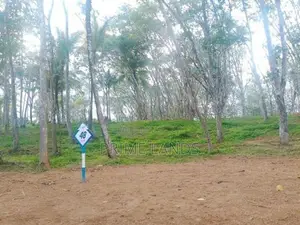 Land for Sale in Ahangama