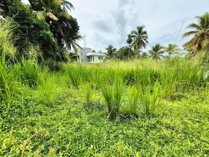 20 Perches Residential Bare Land For Sale In Malabe