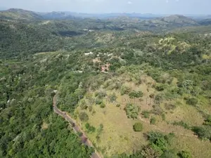 සුන්දර ඇල්ල පුරවරයෙන් කදිම ඉඩමක් Badulla