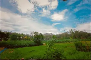 Bungalow for Sale in Bandarawela