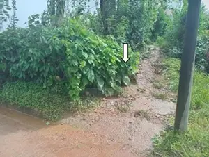 Land For Sale in Nuwara Eliya