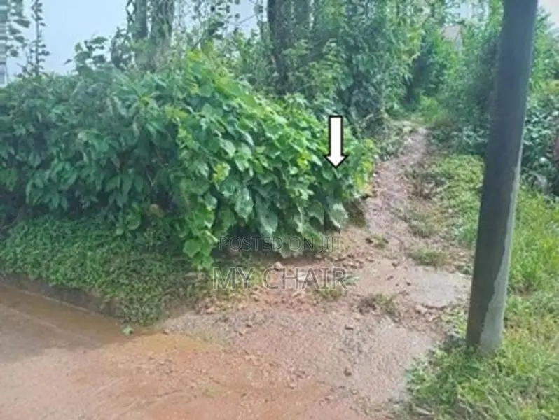 Land For Sale in Nuwara Eliya