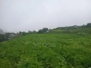 Land For Sale in Nuwara Eliya