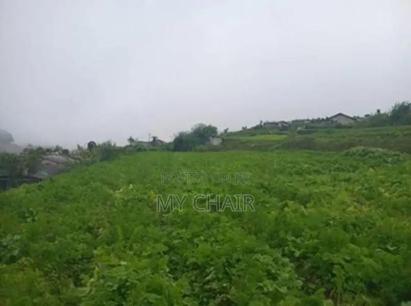 Land For Sale in Nuwara Eliya
