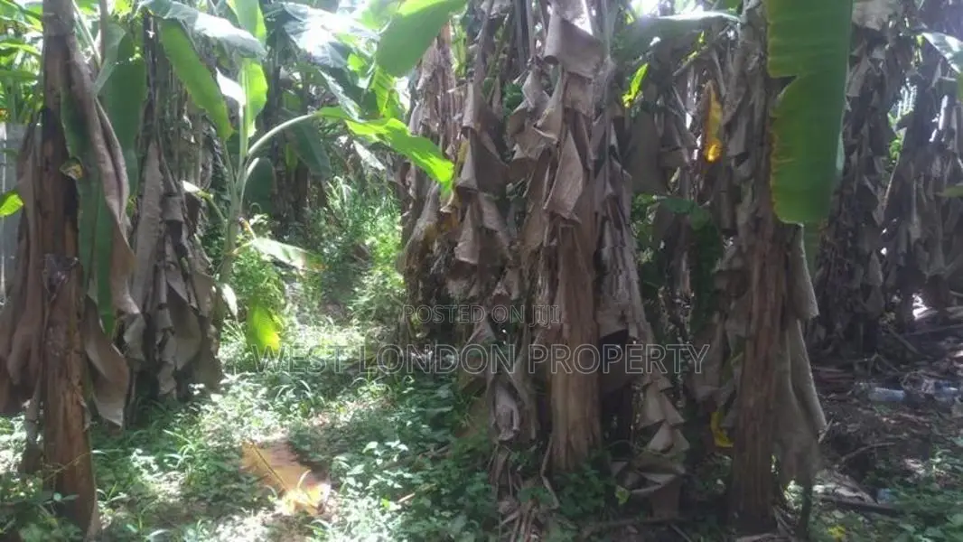 Land for Sale in Weligama