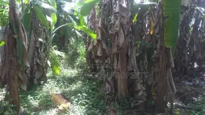 Land for Sale in Weligama