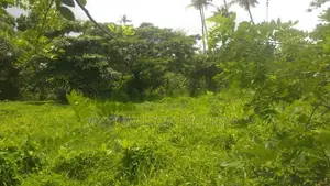 Land for Sale in Weligama