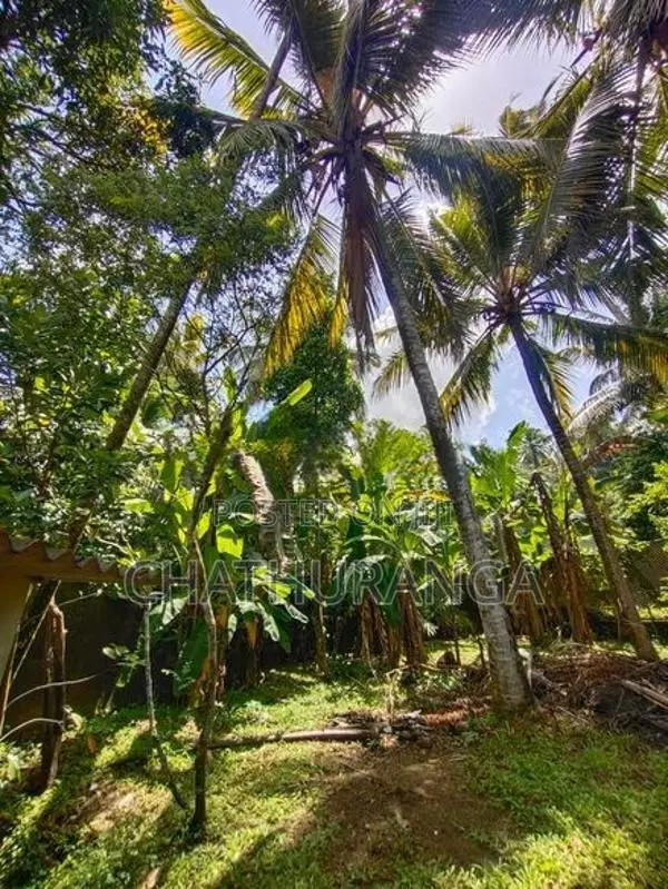 Land for Sale Kadawatha