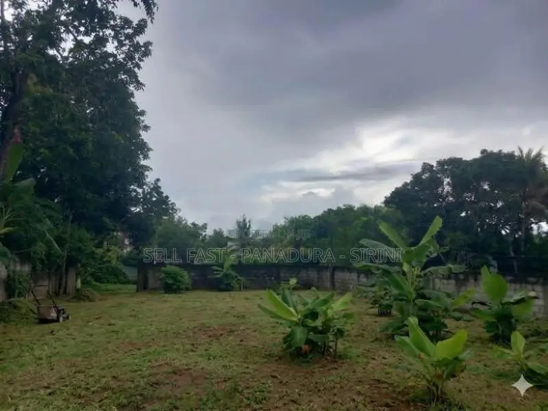 Land for Sale Panadura - Dharmarama Rd (පර්චස් 7)