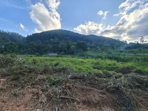Land in Bandarawela for Sale