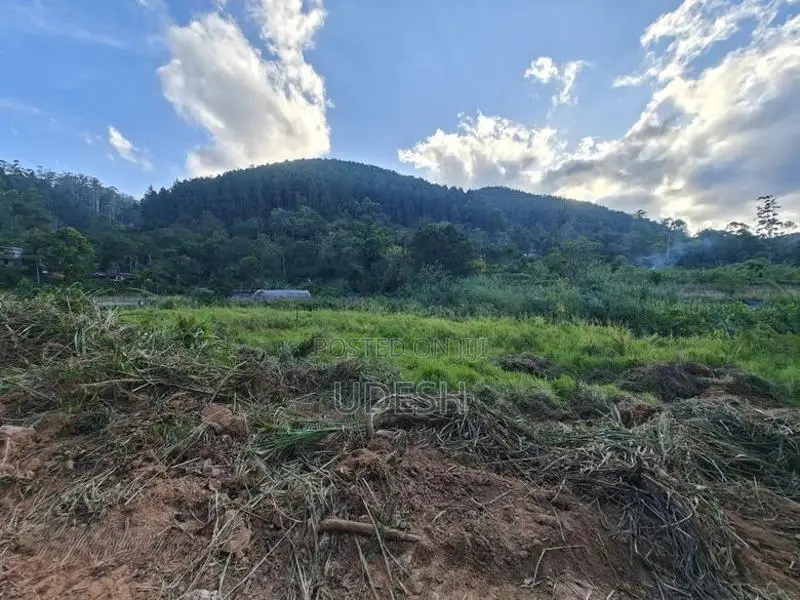 Land in Bandarawela for Sale