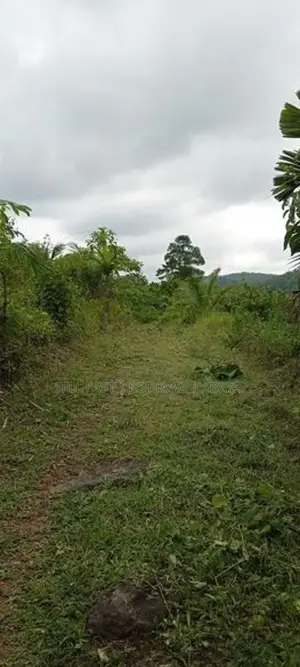 Land For Sale in Avissawella