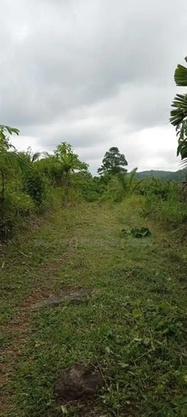 Land For Sale in Avissawella