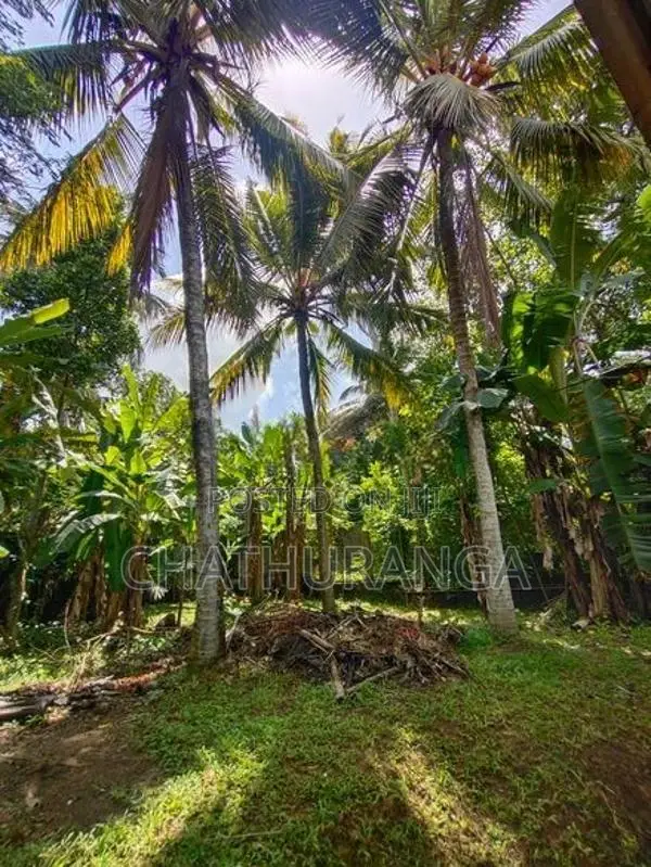 Land for Sale Kadawatha