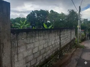 Land for Sale Panadura - Dharmarama Rd (පර්චස් 7)