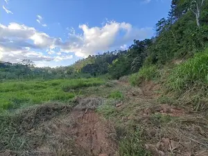 Land in Bandarawela for Sale