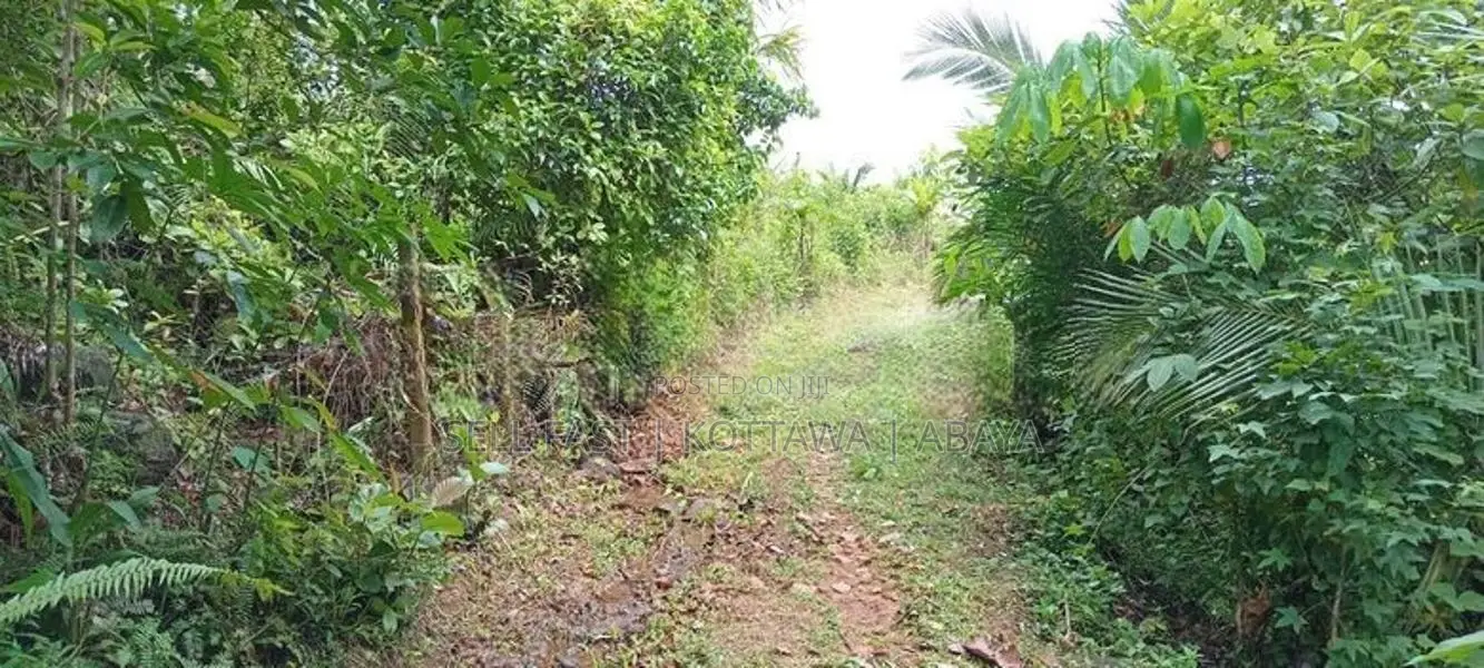 Land For Sale in Avissawella