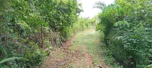 Land For Sale in Avissawella