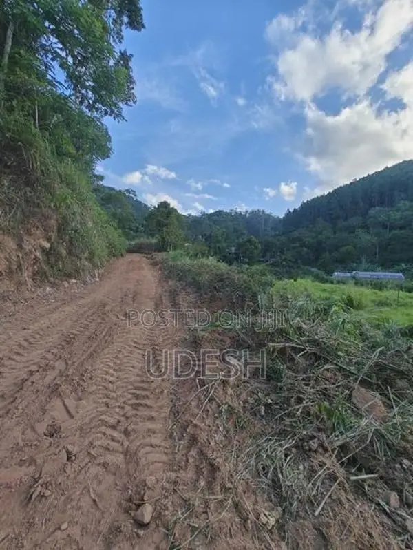 Land in Bandarawela for Sale