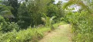 Land For Sale in Avissawella