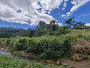 Land in Bandarawela for Sale